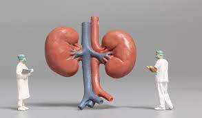 Best Nephrology Doctor Specialist